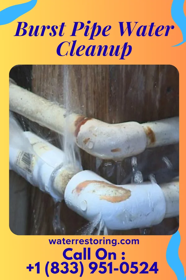 Burst Pipe Water Cleanup in Greendale, IN