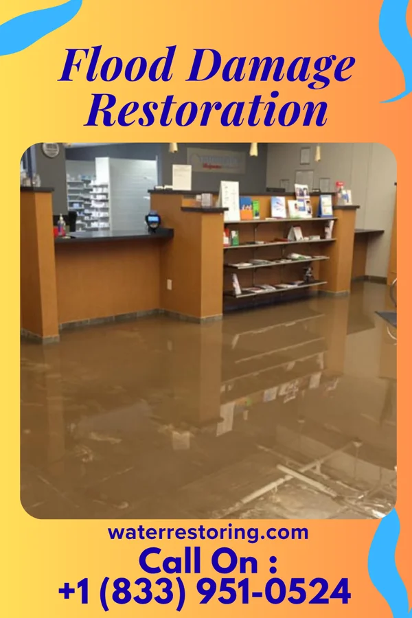 Flood Damage Restoration in Greendale, IN
