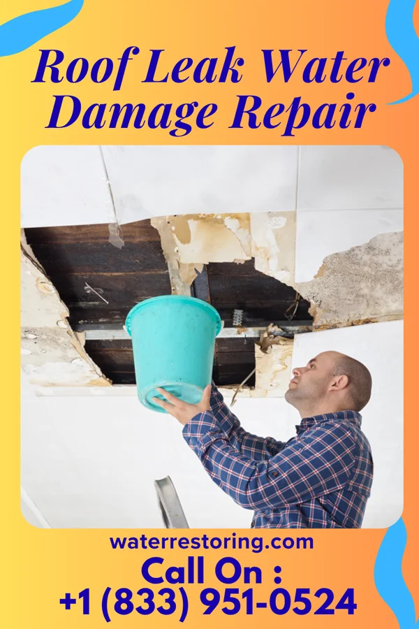 Roof Leak Water Damage Repair in Greendale, IN