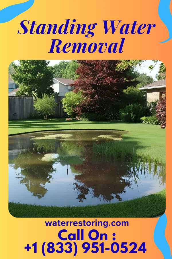 Standing Water Removal in Greendale, IN